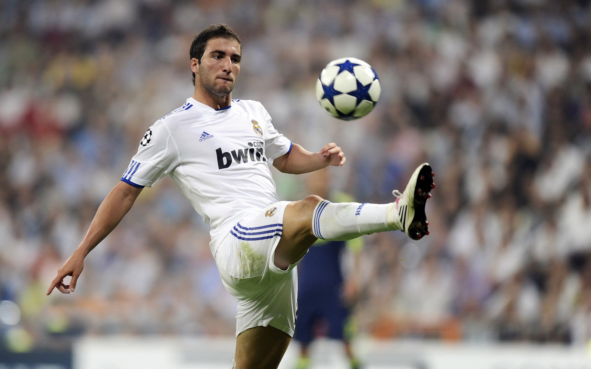 体育粉丝彻夜关注