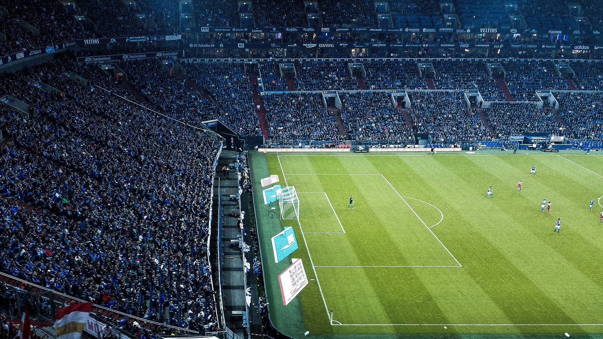 营养补剂盲测双盲对比赛 最终数据交由实验室解析